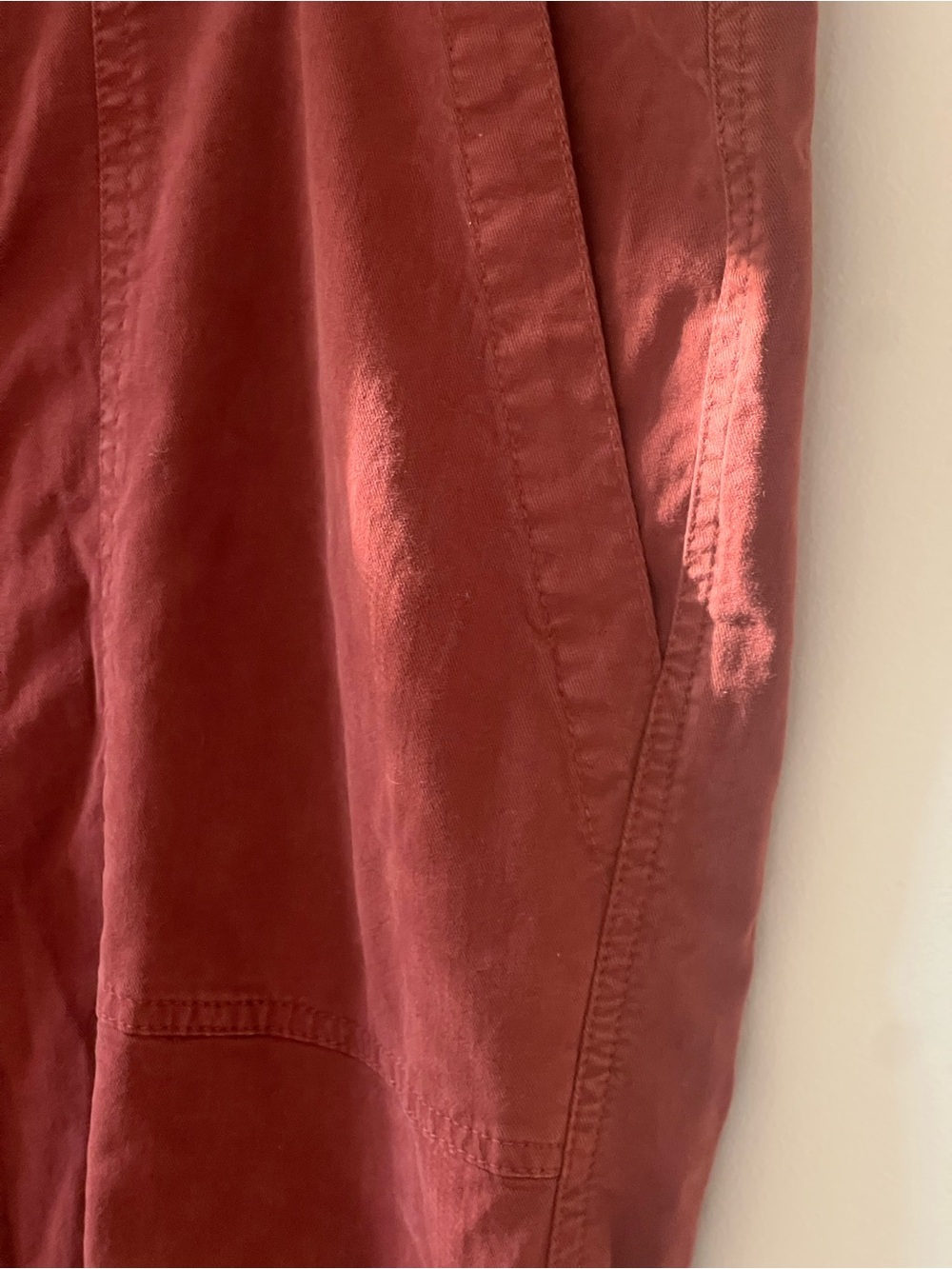 Nili Lotan Brick Red Trousers